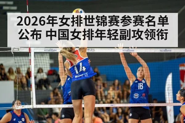 volleyball spike action(Leyu)