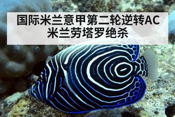 国际米兰意甲第二轮逆转AC米兰劳塔罗绝杀
